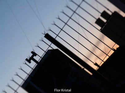 Muestra del taller de fotografia